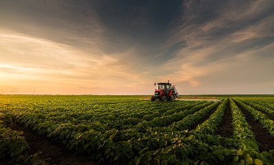 Farmland with crops